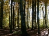  Heimat 2013 - P1090024.jpg