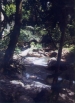  1999 Thailand - 02.jpg